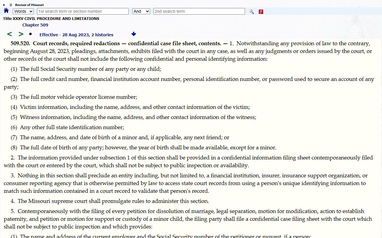 Webster County court dockets redaction statute